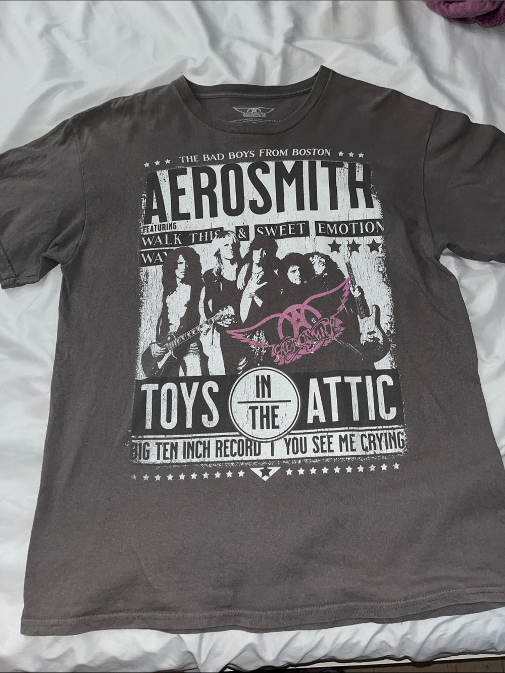 Aerosmith Men’s Gray Graphic Tee - Toys in the Attic Artwork